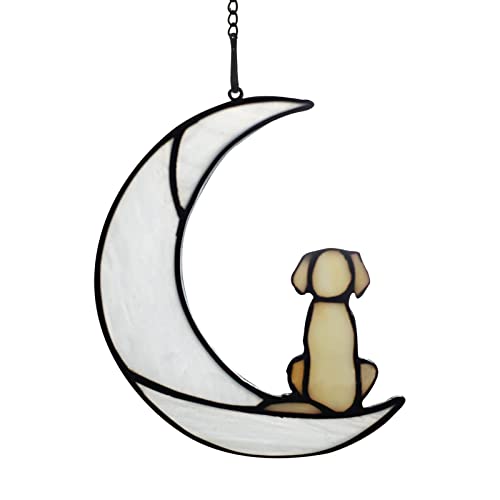 GADXE Hängekörbe Küche Holz Niedliche Hunde, Gedenkgeschenke, Hunde auf dem Mond, Bunte Acryl-Flugzeug-Anhänger, Fensterdekorationen Hängematte Baby Gestell (B, One Size) von GADXE