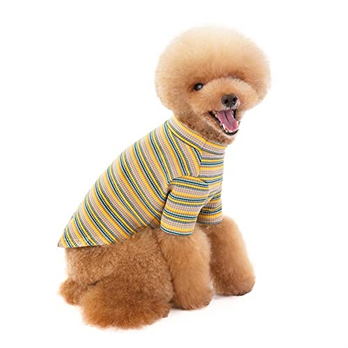 Haustierkleidung, Regenbogen-Streifen-Kintted-Pullover, Kleiner Hund, weich berührend, niedlich für Chihuahua-Sommer (Color : Light Green, Size : L) von GAGMXE