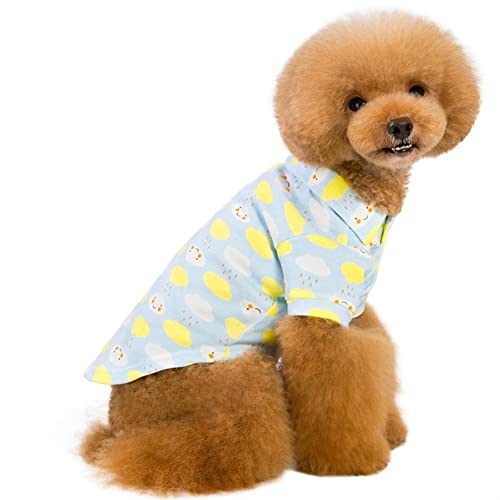 Hunde-Shirt, Pullover, Polos, bunt, bewölkt, Bedruckt, Katze, niedlich, leicht, cool für Bulldoggen-Herbst (Color : Blau, Size : XL) von GAGMXE