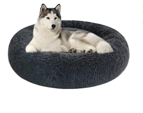 GALLUMAR Hundebett gegen Stress (M 60 x 60 cm, Grau) von GALLUMAR