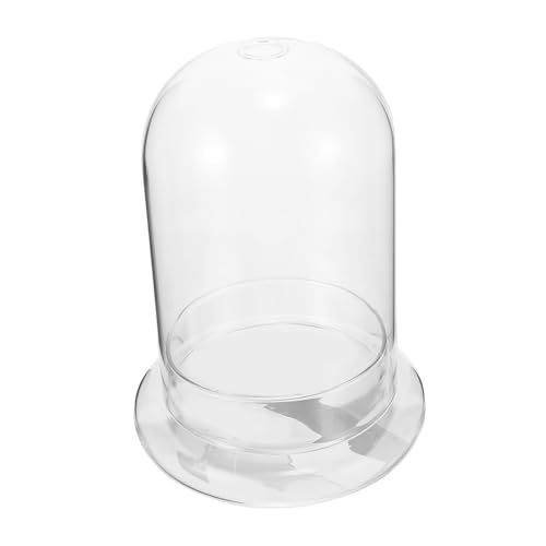 GALPADA Moos-Öko-Flasche Hochzeit für live mit Aquarium groß Landschaft Pflanzen klare Vase Gla -Terrarium Mini -Terrariumflasche Schreibtisch-Terrarium Terrarienflasche Glas Transparent GALPADA Moos-Öko-Flasche Hochzeit für live mit Aquarium groß Landschaft Pflanzen klare Vase Gla -Terrarium Mini -Terrariumflasche Schreibtisch-Terrarium Terrarienflasche Glas Transparent von GALPADA