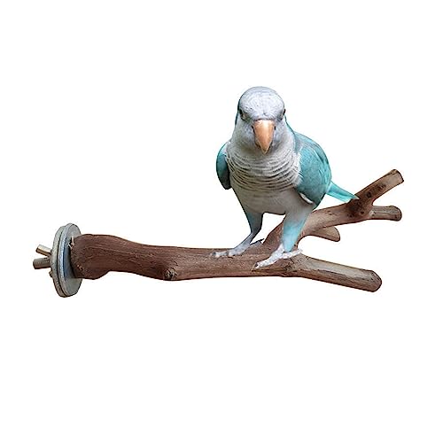 Papageienstoppbaum Papagei Vogel Stand Pole Wild Stick Pfote Schleifen Gabel Sittich Klettern Stehende Äste Spielzeug Kaubare Käfig Zubehör for Kleine Turteltauben (Color : Natural, Size : 15cm) von GALSOR