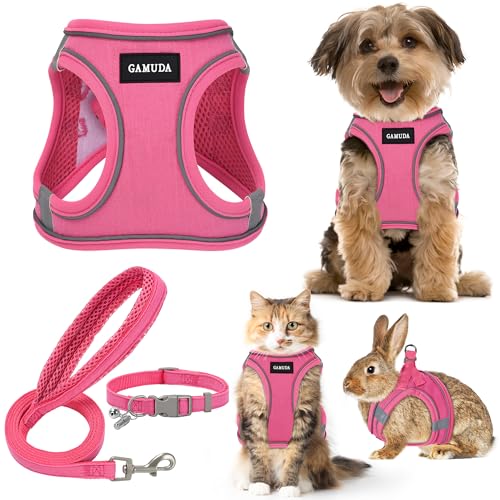 GAMUDA Hundegeschirr für kleine Haustiere, Halsband und Leine, kein Ziehen, Leinen-Stoff, weiches Netzgewebe, reflektierend, für Hunde, Welpen, Katzen, Kätzchen, Kaninchen (Rosa, Größe XXS) von GAMUDA