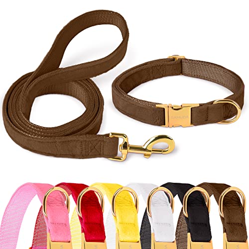 GAMUDA Hundehalsband und Leine aus Samt, super weich und glatt, robuste Goldschnalle, bequem und leicht zu reinigen, verstellbares Halsband für Hund (L, Braun) von GAMUDA