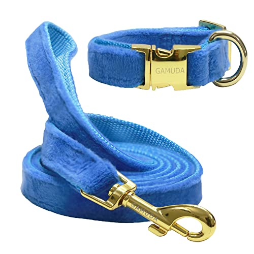 GAMUDA Samt Hundehalsband und Leine, Super Weich und Glatt, Heavy Duty Gold Schnalle, Bequem und Leicht zu reinigen, Verstellbares Halsband für Hund (M, Blau) von GAMUDA