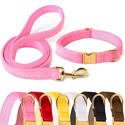 GAMUDA Samt-Hundehalsband und Leine, super weich und glatt, robuste Goldschnalle, bequem und leicht zu reinigen, verstellbares Halsband für Hunde (M, Pink) von GAMUDA