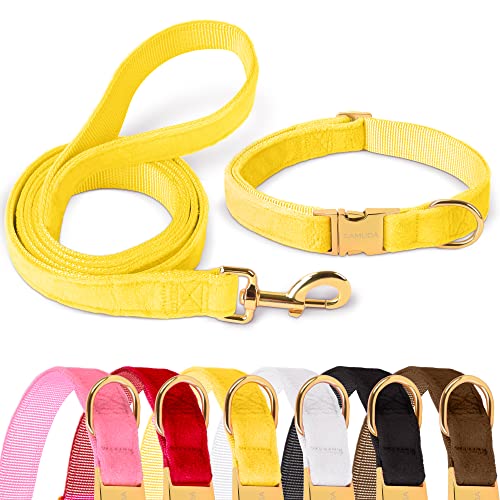 GAMUDA Samt-Hundehalsband und Leine, super weich und glatt, robuste goldene Schnalle, bequem und leicht zu reinigen, verstellbares Halsband für Hunde (L, Gelb) von GAMUDA