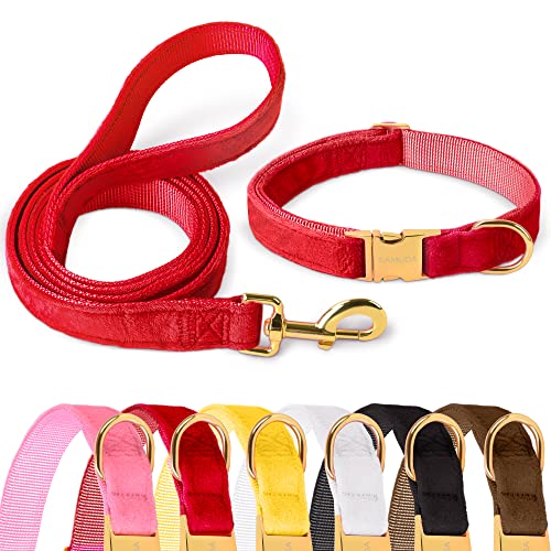 GAMUDA Samt-Hundehalsband und Leine, super weich und glatt, robuste goldene Schnalle, bequem und leicht zu reinigen, verstellbares Halsband für Hunde (L, Rot) von GAMUDA