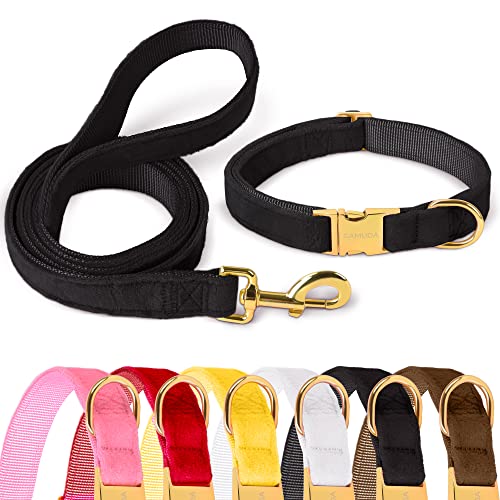 GAMUDA Samt-Hundehalsband und Leine, super weich und glatt, robuste goldene Schnalle, bequem und leicht zu reinigen, verstellbares Halsband für Hunde (L, Schwarz) von GAMUDA