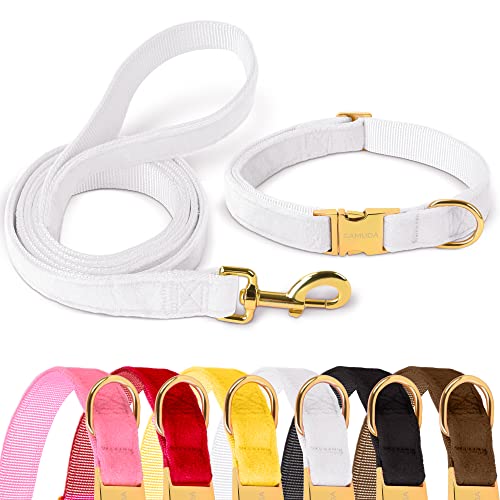 GAMUDA Samt-Hundehalsband und Leine, super weich und glatt, robuste goldene Schnalle, bequem und leicht zu reinigen, verstellbares Halsband für Hunde (L, Weiß) von GAMUDA