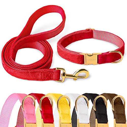 GAMUDA Samt-Hundehalsband und Leine, super weich und glatt, robuste goldene Schnalle, bequem und leicht zu reinigen, verstellbares Halsband für Hunde (M, Rot) von GAMUDA