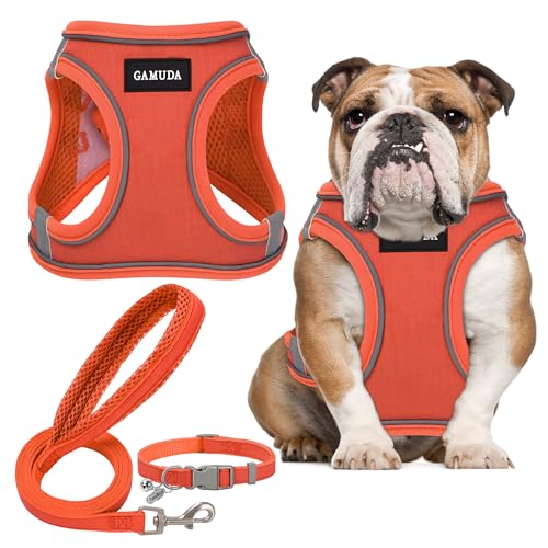 GAMUDA Hundegeschirr für kleine Haustiere, Halsband und Leine, kein Ziehen, Leinen-Stoff, weiches Netzgewebe, reflektierend, für Hunde, Welpen, Katzen, Kätzchen, Kaninchen (Orange, L) von GAMUDA