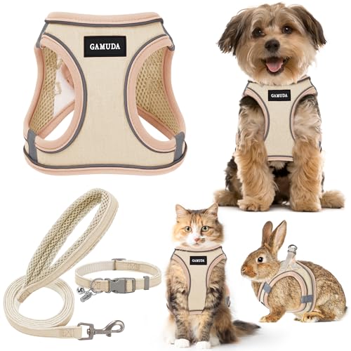 GAMUDA Set aus Halsband und Leine für kleine Haustiere, kein Einsteigen, kein Ziehen, Leinenstoff, weiches Netzgewebe, reflektierend, für Hunde, Welpen und Katzen, Outdoor-Training und Laufen (S, von GAMUDA