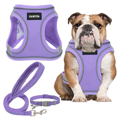 GAMUDA Hundegeschirr für kleine Haustiere, Halsband und Leine, kein Ziehen, Leinen-Stoff, weiches Netzgewebe, reflektierend, für Hunde, Welpen, Katzen, Kätzchen, Kaninchen (Lila, XL) von GAMUDA