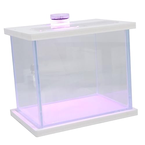 Aquarium hochzeitsdeko hochzeitsdeco aquaristik zubehör ablagefächer hochzeitdeko Filter Schwimmbad Lichtregal für Fischbecken klares Fischbecken Behälter für Goldfische Glas Weiß GANAZONO von GANAZONO