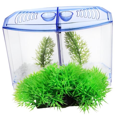 GANAZONO Fisch-Aquarium-Set für Betta-Fische Desktop-Aquarium Künstliche Pflanzen Mini-Aquarium- von GANAZONO