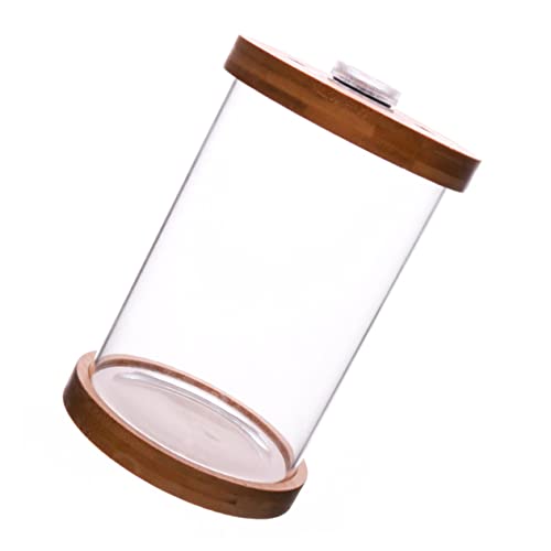 GANAZONO 1stk Landschaftsgestaltung Fischbecken Kleines Tisch-Aquarium Streifen Halter Aquariumdekorationen Klein Anzeige Luft Desktop-Aquarium Spitze Brown Glas Mit Hohem Borosilikatgehalt von GANAZONO