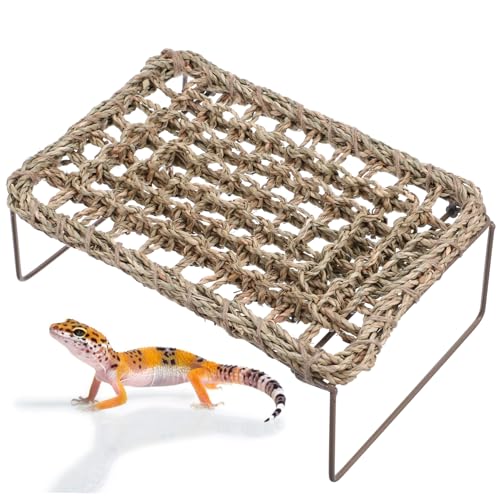 GANAZONO 2 Stück Eidechsengrasmatte Leopard Mit Haube Zubehör Für Geckobecken Reptilienklettern Bett Bartagame Hängematte Reptilienfutter Schlange Schildkrötenpflanzen Träger Eisen von GANAZONO