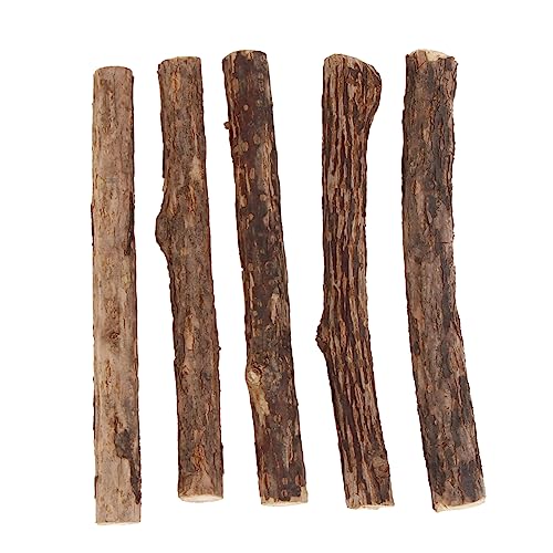 GANAZONO 25St Polygonum Molar Stick Katzenminze-Kausticks Crinkle-Katzenspielzeug pom katzenzahnbürste für Katzen cat Toothbrush Katze Polygonum Backenzahn Kätzchen Zähneknirschen von GANAZONO