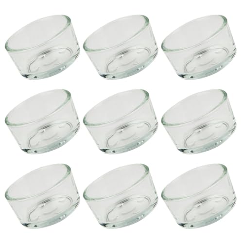 GANAZONO 9 Stück Teiliges Terrarium Futter und Wassernapf aus für Reptilien für Schildkröten Geckos und Schlangen Bruchsicher und Leicht zu Reinigen für Futter und Wasser GANAZONO 9 Stück Teiliges Terrarium Futter und Wassernapf aus für Reptilien für Schildkröten Geckos und Schlangen Bruchsicher und Leicht zu Reinigen für Futter und Wasser von GANAZONO