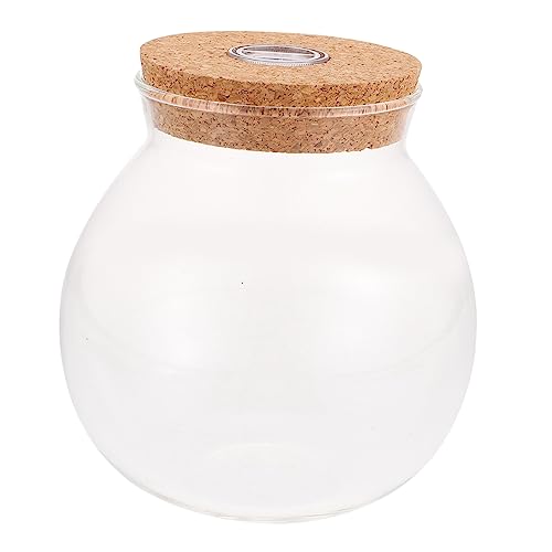 GANAZONO Bunte Ökologische Flasche Blumenpflanzflasche Behälter Mit Deckel Decoraciones para Sala De Casa Mikro-landschaftsflasche Blumenarrangement Flasche Wohnkultur Pflanze Esstisch Glas von GANAZONO