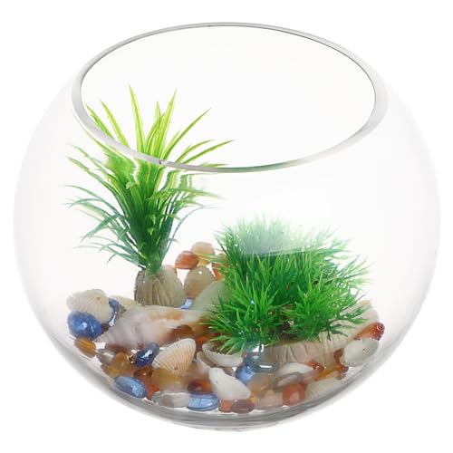 GANAZONO Glas-Fischschale, transparent, Terrariumkugel, Blumenvase, kleiner Goldfischtank, Blasen-Übertopf für Hochzeiten, Veranstaltungen, Arrangements, Heimdekoration, 20 cm von GANAZONO