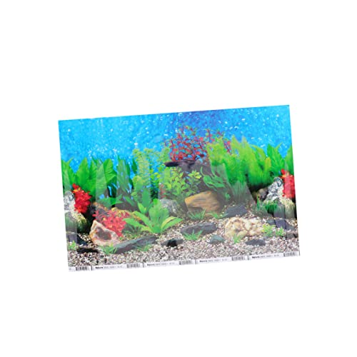 GANAZONO dekoratives Bild Aufkleber Wasser Riff Tank Aquariensteine Vakuum Glühbirne für Aquarien Hai Dekorationen für Aquarien Aquarium Dekoration Aquarium Hintergrundbild Hintergrunddekor von GANAZONO