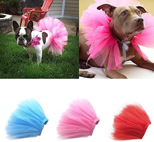 Spitzenrock für kleine Hunde, Prinzessinnen-Tutu-Kleid, Kleidung, Haustierkostüme, Hundekleidung, Haustierbekleidung und Zubehör (blau) von GANPUB