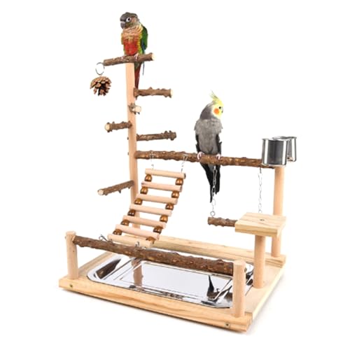 GANYKQ Spielständer für Papageien, Vogel und Vögel, Holz, Sitzstange, Leiter mit Stahl-Futterplatte von GANYKQ