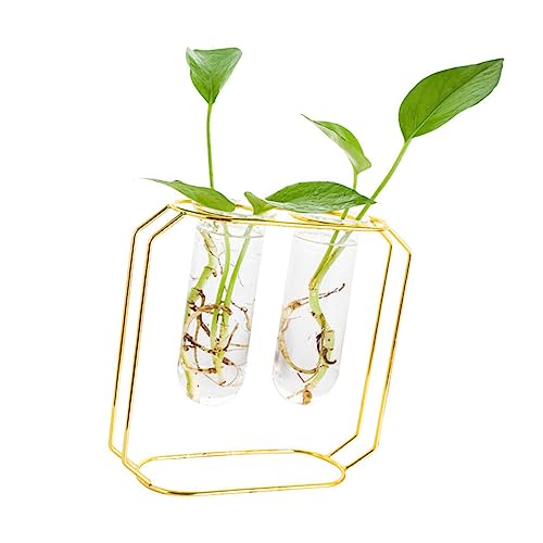 GAROZATION 1 Set Metall Eisen Kunst Vase Mit 2 Glas Pflanzgefäßen Stilvolle Tischdekoration Für Wasserpflanzen Moderne Blumenarrangements Ideales Terrarium Für Zuhause Und Büro von GAROZATION