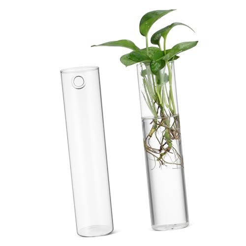 GAROZATION 2St Wandvase Wandpflanzer Wandmontage Pflanzgefäß zum Aufhängen an der Wand Blumenwasserrohre blumenvasen einmachgläser Pflanzentopf aus Glas Glasvermehrungsstation Transparent von GAROZATION