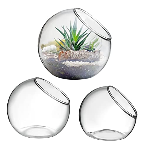 GAROZATION 3 Stück Terrarium Luftpflanzen Pflanzgefäße Aus Klarem Glas Dekorative Vasen Für Tisch Und Büro Ideal Für Luftige Pflanzen Und Kreative Deko Ideen Modern Und Vielseitig von GAROZATION