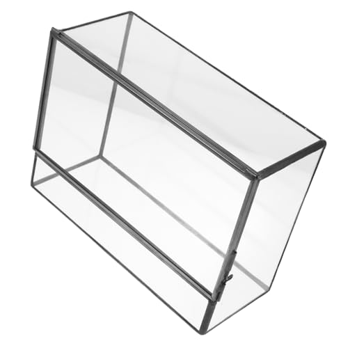 GAROZATION Landschaft Ökosystem Schreibtisch Blumentopf Terrarium Glas Display Moos Terrarium Container für Wohnzimmer von GAROZATION