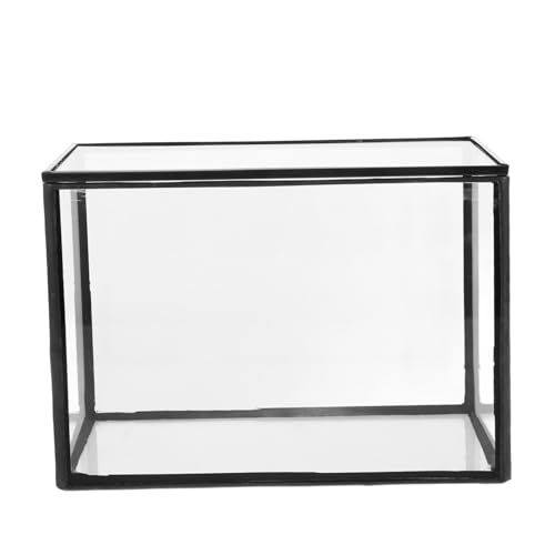 GAROZATION Mikrolandschaftsgewächshaus Tischschmuck Moosterrarium Micro-landschaftshalter Pflanzenbehälter Selber Machen DIY-Terrarium Mikro-landschafts-DIY-Halter Glas Transparent von GAROZATION