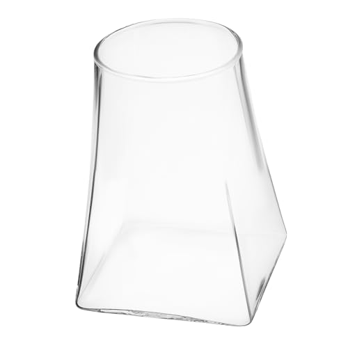 GAROZATION Ökologische Mikrolandschaftsflasche Mikro-landschaftsflasche Leeres Terrarium Pflanzen Terrarium Pflanzenterrarium Vasentopf Pflanzenbehälter Glas von GAROZATION