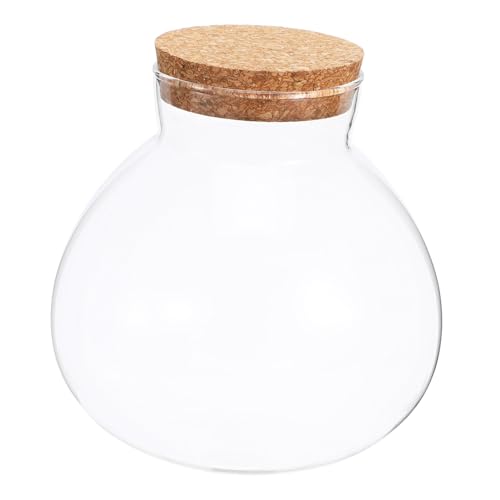 Ökologische Mikrolandschaftsflasche Pflanzenterrarium mit Deckel aus Kork Glasflasche mit Korken Ökologische Flasche dekorativer Mikro-Landschaftsbehälter Landschaft Flasche GAROZATION von GAROZATION