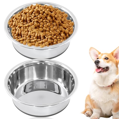 2 Stück Hundenapf aus Edelstahl mit Rutschfestem Silikon (822ML), 18cm Futternapf und Trinknapf Hund, Dog Bowl, Wassernapf und Fressnapf für Kleine, Mittelgroße und Große Hunde und Katzen von GBKDQQ