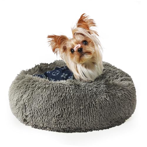 Angstbett für kleine Hunde, Größe XS, 38,1 cm, Welpenbetten für kleine Hunde, waschbar, grüner Donut, flauschig, gemütlich, für beruhigendes warmes Schlafen von GDBAE