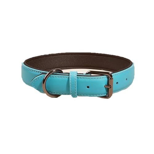 Personalisiertes Hundehalsband Aus Leder, Weich Gepolstert, Strapazierfähig, Namensschild, Verstellbar für Kleine, Mittelgroße und Große Hunde(Blue,1.5 * 25-32CM) von GDJGNUDK