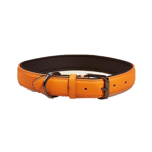 Personalisiertes Hundehalsband Aus Leder, Weich Gepolstert, Strapazierfähig, Namensschild, Verstellbar für Kleine, Mittelgroße und Große Hunde(Orange,1.5 * 25-32CM) von GDJGNUDK