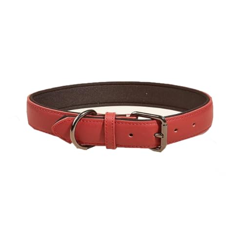 Personalisiertes Hundehalsband Aus Leder, Weich Gepolstert, Strapazierfähig, Namensschild, Verstellbar für Kleine, Mittelgroße und Große Hunde(Red,1.5 * 25-32CM) von GDJGNUDK