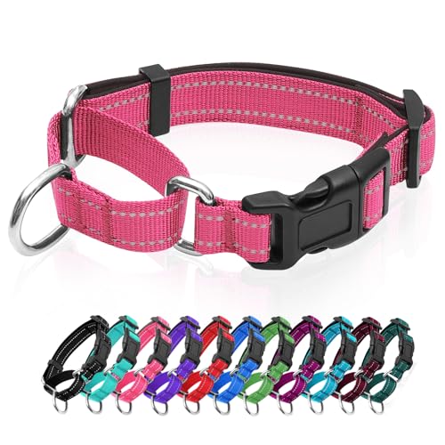 Reflektierende Martingale Hundehalsbänder Hunde Halsband mit Schnellverschluss-Schnalle Verstellbares, weich gepolstertes atmungsaktives Nylon-Haustierhalsband geeignet für Welpen für kleine von GDLKPS