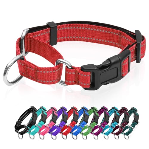 Reflektierende Martingale Hundehalsbänder Hunde Halsband mit Schnellverschluss-Schnalle Verstellbares, weich gepolstertes atmungsaktives Nylon-Haustierhalsband geeignet für Welpen für kleine von GDLKPS