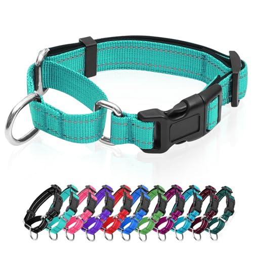 Reflektierende Martingale Hundehalsbänder Hundehalsband mit Schnellverschluss-Schnalle Verstellbares, weich gepolstertes atmungsaktives Nylon-Haustierhalsband geeignet für Welpen für kleine, von GDLKPS