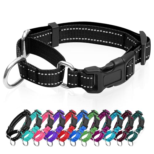 Reflektierende Martingale Hundehalsbänder Hundehalsband mit Schnellverschluss-Schnalle Verstellbares, weich gepolstertes atmungsaktives Nylon-Haustierhalsband geeignet für Welpen für kleine, von GDLKPS