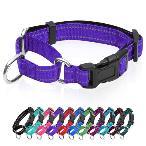 Reflektierende Martingale Hundehalsbänder Hundehalsband mit Schnellverschluss-Schnalle Verstellbares, weich gepolstertes atmungsaktives Nylon-Haustierhalsband geeignet für Welpen für kleine, von GDLKPS