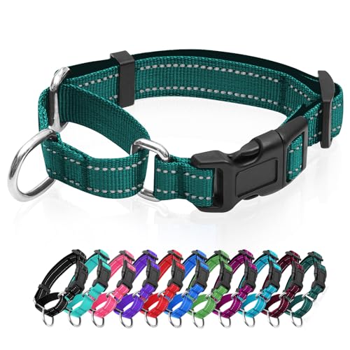 Reflektierendes Martingale-Hundehalsband, Hundehalsband mit Schnellverschluss-Schnalle, Verstellbares, weich gepolstertes, atmungsaktives Nylon-Haustierhalsband, geeignet für Welpen für kleine, von GDLKPS