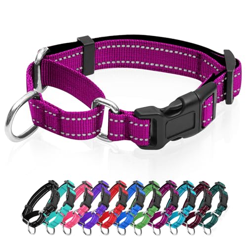 Reflektierendes Martingale-Hundehalsband, Hundehalsband mit Schnellverschluss-Schnalle, Verstellbares, weich gepolstertes, atmungsaktives Nylon-Haustierhalsband, geeignet für Welpen für kleine, von GDLKPS