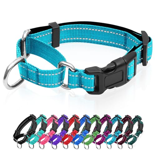 Reflektierendes Martingale-Hundehalsband, Hundehalsband mit Schnellverschluss-Schnalle, Verstellbares, weich gepolstertes, atmungsaktives Nylon-Haustierhalsband, geeignet für Welpen für kleine, von GDLKPS