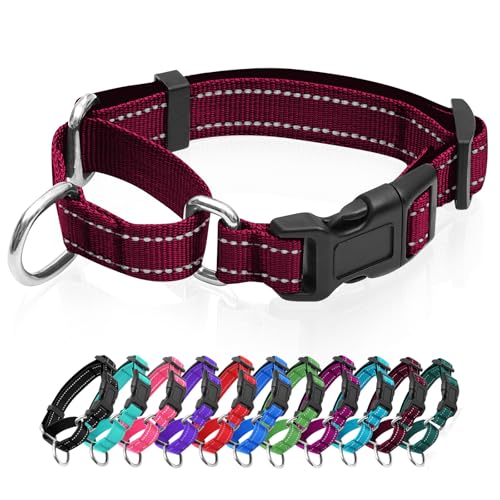 Reflektierendes Martingale-Hundehalsband, Hundehalsband mit Schnellverschluss-Schnalle, Verstellbares, weich gepolstertes, atmungsaktives Nylon-Haustierhalsband, geeignet für Welpen für kleine, von GDLKPS